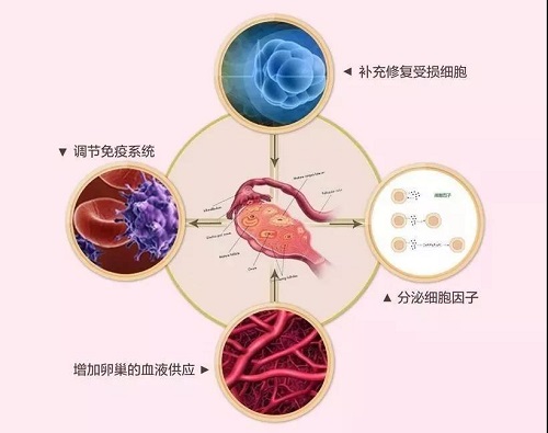 女性生殖保养的重要性！ 女人就应该注重生殖保养