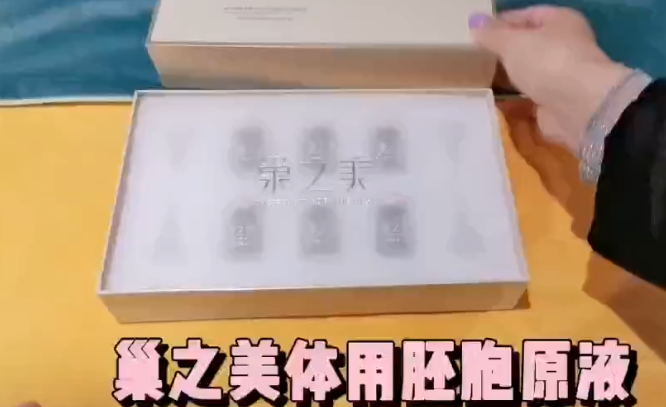 视频模型