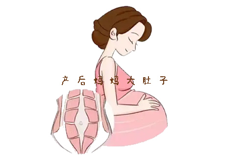 产后肚子大，可以用巢之美吗？