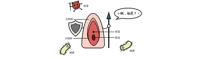 产后女性阴道口撕裂怎么办？巢之美私密呵护妙招！