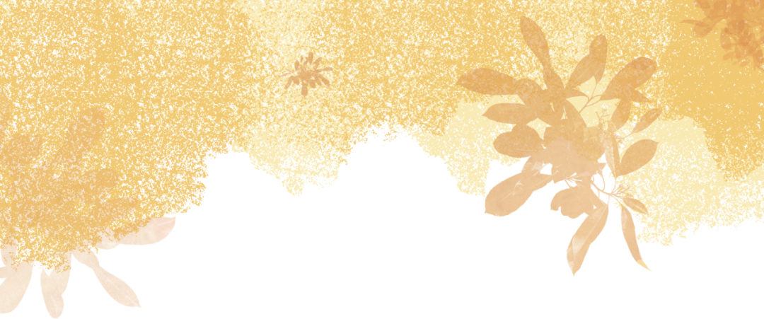 微信图片_20250827161306.png