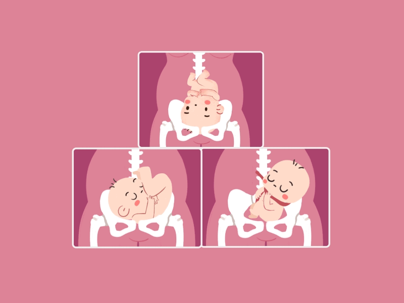 640 (1).gif 640 (1).gif
