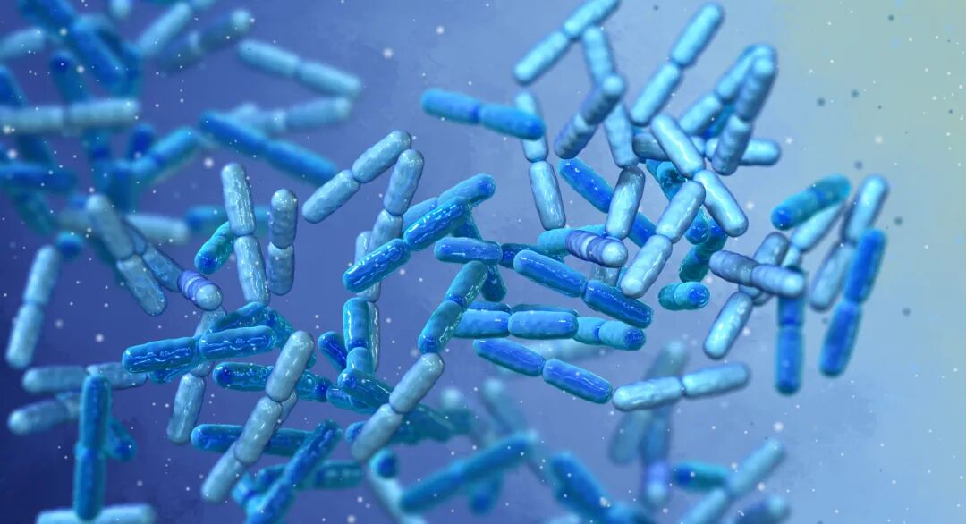 640 (4).jpg 640 (4).jpg