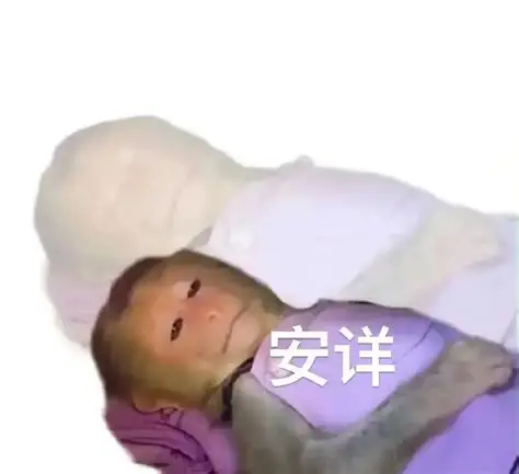 微信图片_2026-09-24_152605_252.png