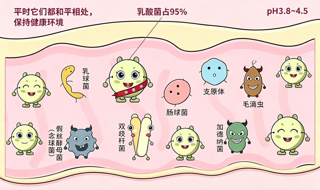 微信图片_2026-09-24_152631_603.png